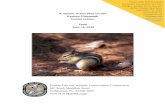 A Species Action Plan for the Eastern Chipmunk - myfwc.com · Gore (2015) in which they evaluated the effectiveness of camera traps, track tubes (pictured behind the chipmunk), and