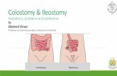 Colostomy & Ileostomy - escrs-eg.org 01/Management of intestinal... · Colostomy & Ileostomy Indications, problems and preference By Waleed Omar Professor of Colorectal surgery, Mansoura