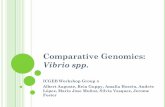 Comparative Genomics: Vibrio spp. - sta.uwi.edu · Vibrio spp. ICGEB Workshop Group 4 Albert Auguste, Reia Guppy, Amalia Hosein, Andrés López, Maria Jose Muňoz, Silvia Vasquez,