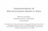 Implementation of Microsimulation Model in Stata · Implementation of Microsimulation Model in Stata Martín Cicowiez (CEDLAS‐UNLP / UN‐DESA consultant) Presentation for Second