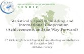 Statistical Capacity Building and International ... · Statistical Capacity Building and International Cooperation (Achievements and the Way Forward) ... Based on the proposal of