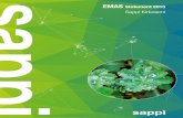 Sappi Kirkniemi 2015 EMAS report English.pdf · 4 Sappi Kirkniemi Sappi Kirkniemi Sappi Kirkniemi manufactures high-quality coated publication papers efficiently while respecting