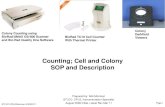 Counting; Cell and Colony SOP and Description - STLCC.edu · Counting; Cell and Colony SOP and Description Prepared by: Bob Morrison STLCC- CPLS, Instrumentation Specialist August