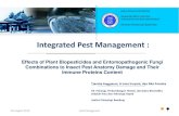 Integrated Pest Management - lppm.itb.ac.id file• Integrated Pest Management (IPM) : combinations of biological, chemical, and cultural methods to control pests • Our group in