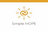 Simple HOPE - hopeinternational.org · What does internal audit do? 47 How does internal audit add value? 48 20 38. What is Simple HOPE? A framework to succinctly identify and explain