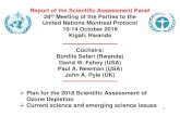 Report of the Scientific Assessment Panelconf.montreal-protocol.org/meeting/mop/mop-28/presentations/English... · Bonfils Safari (Rwanda) ... Communication from SAP Co-Chairs and