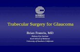 Trabecular Surgery for Glaucoma - NeoMedix · Trabecular Surgery for Glaucoma Brian Francis, MD Doheny Eye Institute Keck School of Medicine ... ruptur e TM. Newer Approaches to Angle