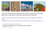 The role of Bioenergy coupled with Carbon Capture and ... · yuwono@iiasa.ac.at, ucokwrs@tm.itb.ac.id, rizaldiboer@gmail.com; The role of Bioenergy coupled with Carbon Capture and