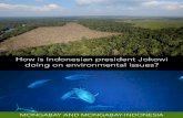 How is Indonesian president Jokowi doing on environmental ... · represented a break from its authoritarian past, and Jokowi, as he is known, was expected to enact major reforms.