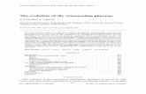The evolution of the mammalian pharynx - Duke Universitypeople.duke.edu/~kksmith/papers/evolution of pharynx.pdf · The evolution of the mammalian pharynx KATHLEEN K. SMITH Department