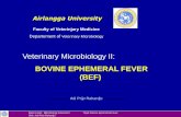 Veterinary Microbiology II - s1.fkh.unair.ac.ids1.fkh.unair.ac.id/images/PPT/IP Viral BEF-engl_rev.pdf · Mata Kuliah : Mikrobiologi Veteriner II Topik: Bovine Ephemeral Fever ...