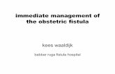 immediate management of the obstetric fistula management of the obstetric fistula starts the moment the leaking of urine is manifest • prevention of the fistula is a utopia for at