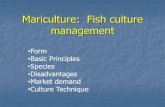 Mariculture: Fish culture management - Universitas Brawijayaamhariati.lecture.ub.ac.id/files/2012/04/Mariculture-FINFISH.pdf · Mariculture: Fish culture management •Form •Basic