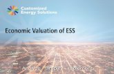 Economic Valuation of ESS - gtg-india.com · In Front of the Meter (FOM) ... in Wh, kWh or MWh. Roundtrip Energy Efficiency The ratio of energy discharge energy and charge energy