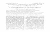 Redescription of gnaphosids (Aranei: Gnaphosidae ...kmkjournals.com/upload/PDF/ArthropodaSelecta/28/28... · poda Selecta. Vol.28. No.2. P.277–290. doi: 10.15298/ arthsel. 28.2.11