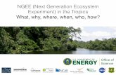 NGEE (Next Generation Ecosystem Experiment) in the Tropicslmwg/fisher.pdf · NGEE (Next Generation Ecosystem Experiment) in the Tropics What, why, ... (LPJ) DGVM (vegetation ... Add