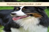 Highlands Heartbreaker „Luke“ Heartbreaker Luke... · Katarak t (kongenital) CZD i. Retinadysplasie (RD) CXD 5. Hypoplasie-ZMikropapill e CSD 6. Collie Augenanomalie (CEA) 133