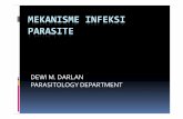 mekanisme infeksi K.28. - ocw.usu.ac.idocw.usu.ac.id/.../bbc215_slide_mekanisme_infeksi_parasite.pdf · Transmission of the parasites Parasite can be transmitted thru vector or intermediate