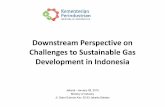 Downstream Perspective on Challenges to Sustainable Gas …indonesiangassociety.com/storage/2016/06/Presentation-3.pdf · Gas Minyak& Kondensat JangkrikNE Jangkrik IDD -Bangka MDA-MBH
