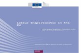 circabc.europa.eu (public access...  · Web viewHow widespread amongst inspectors is the use of e-mail and access to the world wide internet, to a labour inspectorate 'intranet'