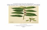 ANNONACEAE OF MALESIA: SPECIES LISTS FOR THE … · My recently published list (Turner, 2018) enumerates some 1,100 species in the family Annonaceae native to the Asia-Pacific region.