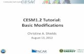 CESM1.2 Tutorial: Basic Modifications · The special tutorial version of T31_gx3 CESM on yellowstone (runs on multiple nodes) simulates ~44 model years per wallclock day. Maximum