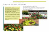 Forestry and Gardens Annual Flower Program · Autumn Cheer– Chrysanthemums, ornamen-tal cabbage, lettuce (yes lettuce), and Pansies. *Pansies can be planted in late fall and ...