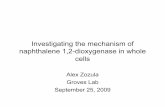 Investigating the mechanism of naphthalene 1,2-dioxygenase ...pei300w.princeton.edu/media/meet-our-interns/interns-2009/Zozula_Alex_sol.pdf · Investigating the mechanism of naphthalene