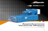 Asynchronous Vectorial Motors - .2 MAGNETIC / SICMEMOTORI - Asynchronous Vectorial Motors A dynamic,