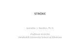 STROKE - Vanderbilt University · –Hemorrhagic stroke can also occur from the rupture of an aneurysm, which represents a weakened blood vessel wall which ... pathway for the face