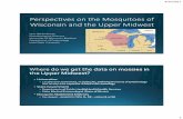 Perspectives on the Mosquitoes of Wisconsin and the Upper ... · Perspectives on the Mosquitoes of ... Human malaria, JCV? Culex pipiens WNV, ... Perspectives on the Mosquitoes of