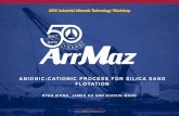 016-IMA 2018 - Anionic-Cationic Process for Silica Sand ... · 50thanniversary mining external © 2017 arrmaz products, lp ryan xiong, james gu and guoxin wang anionic-cationic process