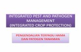 INTEGRATED CROP PROTECTION - blogs.unpad.ac.idblogs.unpad.ac.id/tarkus7558/files/2011/08/INTEGRATED-MANAGEMENT-OF... · below the economic injury level while minimizing hazards to