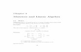 Matrices and Linear Algebra - math.tamu.edudallen/m640_03c/lectures/chapter2.pdf · Chapter 2 Matrices and Linear Algebra 2.1 Basics Deﬁnition 2.1.1. A matrix is an m×n array of
