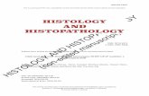 HISTOPATHOLOGY manuscript) AND (non-edited fileHISTOLOGY AND HISTOPATHOLOGY (non-edited manuscript) 2 Summary The various forms of Alexander disease (AD) have been linked to heterozygous