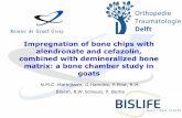 Impregnation of bone chips with alendronate and cefazolin ... fileImpregnation of bone chips with alendronate and cefazolin, combined with demineralized bone matrix: a bone chamber