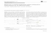 Biodiversity in targeted metabolomics analysis of filamentous · Biodiversity in targeted metabolomics analysis of filamentous fungal pathogens by 1 H NMR-based studies Adam Ząbek