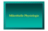 Physiologie Folie 1a - uni-due.dehc0001/pdf/Microbial Physiology/Microbial Physiology.pdf · Physiologie Folie 3 Begriff Energiequelle Wasserstoffquelle Kohlenstoffquelle Phototrophie