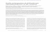 FoxP1 orchestration of ASD-relevant signaling pathways in ...genesdev.cshlp.org/content/29/20/2081.full.pdf · FoxP1 orchestration of ASD-relevant signaling pathways in the striatum