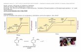 Principles of Biochemistry “Oxidative Phosphorylation ... · & “Lipid Biosynthesis. ... The energy diagram does not anticipate a means to get the ATP out of the E ATP complex.