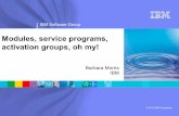 Modules, service programs, - Gateway/400 · IBM Rational software 2 Agenda Why use ILE features for RPG applications Procedures, modules and service programs Activation group strategies