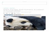 Giant Pandas and Humans: A Lesson in Sustainabilitycsis.msu.edu/sites/csis.msu.edu/files/LiveScience - Pandas and People.pdf · new ways to make electricity aordable, including building