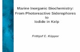 Marine Inorganic Biochemistry: From Photoreactive ... · • Previously isolated from Vibrio parahemol tic sparahemolyticus (enteropathogenic, estuarine bacterium) • Isolation of