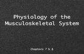 Physiology of the Musculoskeletal System - EIUcfje/4340/4340-muscle1.pdf · Quick Time Movie This Quick Time Movie of the contraction process can be downloaded at the class web page.