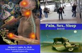 Pain, Sex, Sleep - jhsph.edu · Aims • Provide a brief overview of the burden of chronic pain, – highlighting sex differences in pain prevalence and sensitivity • Describe background