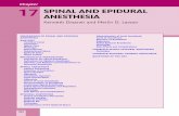 Chapter 17 - Spinal and Epidural Anesthesia · room for surgical anesthesia and as an adjunct to general anesthesia, neuraxial techniques are effective means for controlling obstetric