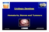 Urology Seminar · • Referral for gross hematuria is always appropriate!!! Revised Dec 2008 Phase IV Urology Seminars Hematuria, Stones and Tumours Cystoscopy and retrograde pyelogram