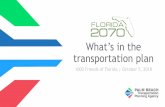What’s in the transportation plan - 1000friendsofflorida.org · SIS Capacity O&M - Transit O&M - Roadways Major Maintenance Other FDOT & Local Projects Local Initiatives Program