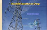 Household Expenditure on Energy - unstats.un.org · Background National Statistical Office (NSO) first conducted the Household Energy Consumption Survey in 1984 The questionnaire