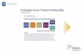 Esophageal Cancer Treatment Pathway Map · Esophageal Cancer Treatment Pathway Map Clinical Stage IA Version 2019.05 Page 3 of 12 The pathway map is intended to be used for informational